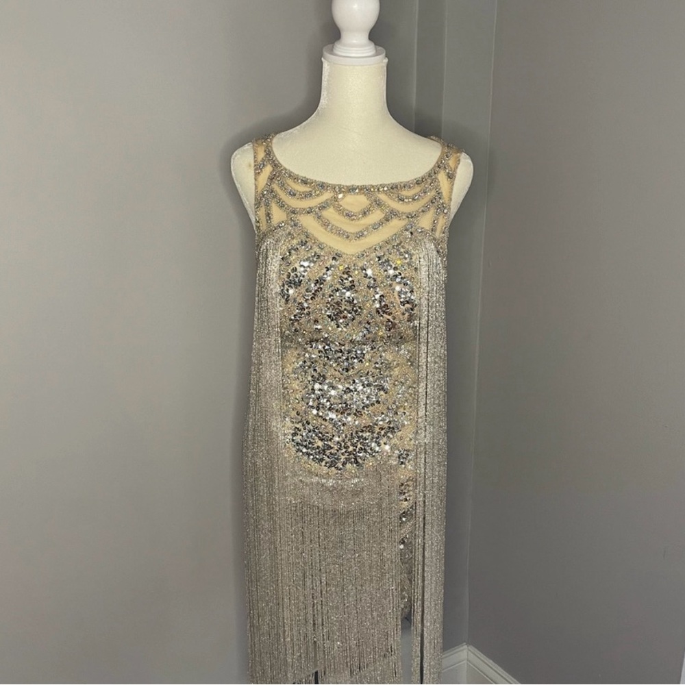 Elegant Silver Fringe Dress